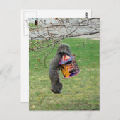 Funny Squirrel Briefkaart (Voorkant / Achterkant)