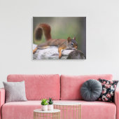 Funny Squirrel Canvas Afdruk (Insitu (Woonkamer))