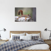 Funny Squirrel Canvas Afdruk (Insitu (Slaapkamer))