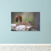 Funny Squirrel Canvas Afdruk (Insitu (Houten vloer))