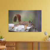 Funny Squirrel Canvas Afdruk (Insitu (Woonkamer))