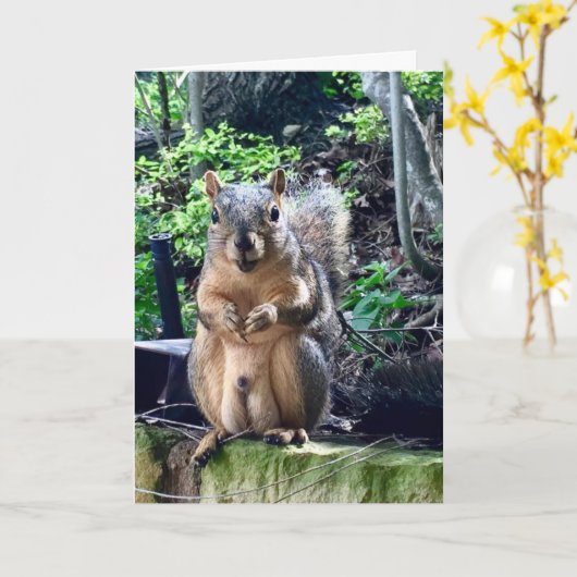 Funny Squirrel Deez naakt aangepaste tekst op zate Kaart (Gele Bloem)