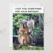 Funny Squirrel Deez Nuts Adult Humor Birthday Kaart (Voorkant)