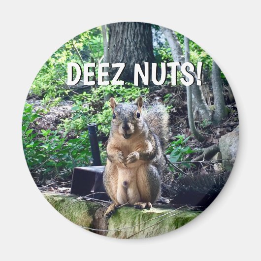 Funny Squirrel Deez Nuts ongeschikte foto van Humo Magneet (Voorkant)