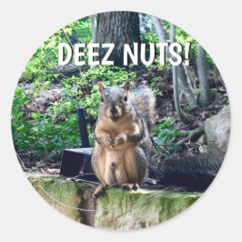 Funny Squirrel Deez Nuts ongeschikte foto van Humo Ronde Sticker