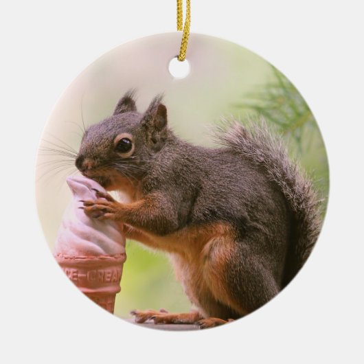 Funny Squirrel die ijsschuimkoon Keramisch Ornament (Voorkant)