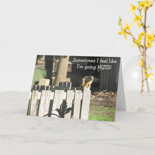 Funny Squirrel Friendship Support Kaart (Gele Bloem)