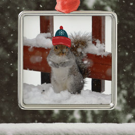 Funny Squirrel in Snowflake Baseball Pet Ornament
