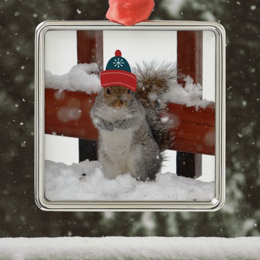 Funny Squirrel in Snowflake Baseball Pet Ornament