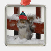 Funny Squirrel in Snowflake Baseball Pet Ornament (Voorkant)