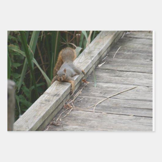 Funny Squirrel Inpakpapier Vel (Voorkant 3)