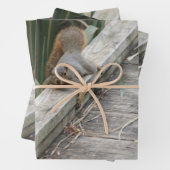 Funny Squirrel Inpakpapier Vel (In situ)