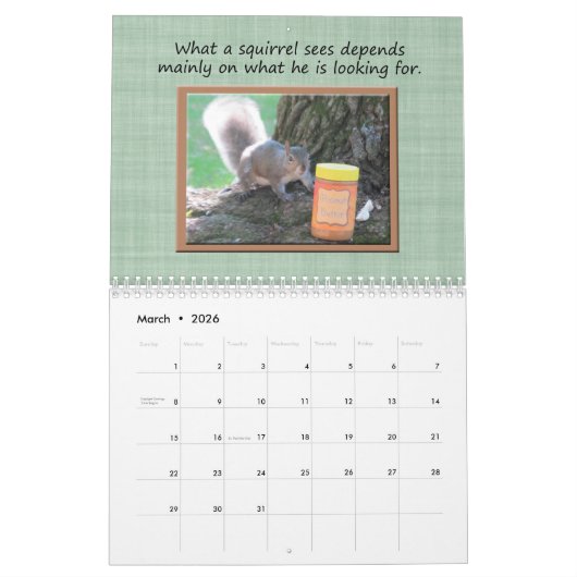 Funny Squirrel Just Plain Nutz Calendar Kalender (Mar 2026)