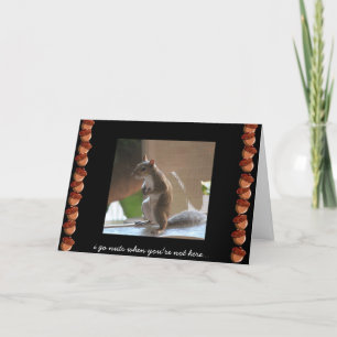Funny Squirrel Kaart, Miss You, Go Nuts Kaart