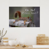 Funny Squirrel Poster (Keuken)