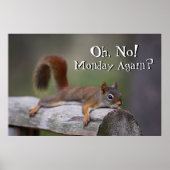 Funny Squirrel Poster (Voorkant)