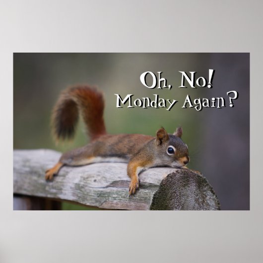 Funny Squirrel Poster (Voorkant)