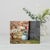 Funny Squirrel Santa Christmas briefkaart (Staand Voorkant)