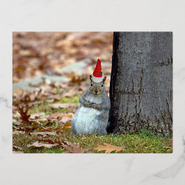 Funny Squirrel Santa Christmas briefkaart