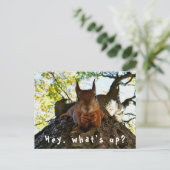 Funny Squirrel Schattigeste Hallo What's Up Briefkaart (Staand voorkant)