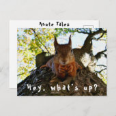 Funny Squirrel Schattigeste Hallo What's Up Briefkaart (Voorkant / Achterkant)