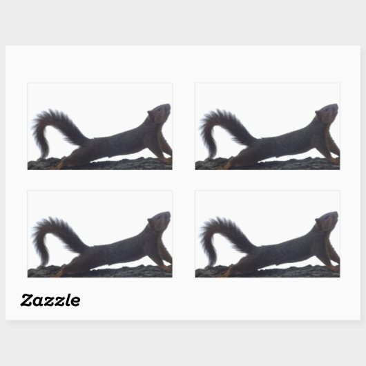 Funny Squirrel Stickers (Vel)