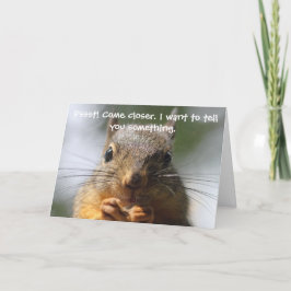Funny Squirrel Verjaardag Kaart