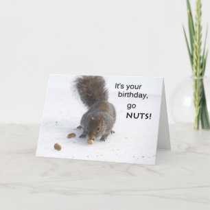 Funny squirrel-verjaardagskaart - Go-noten Kaart