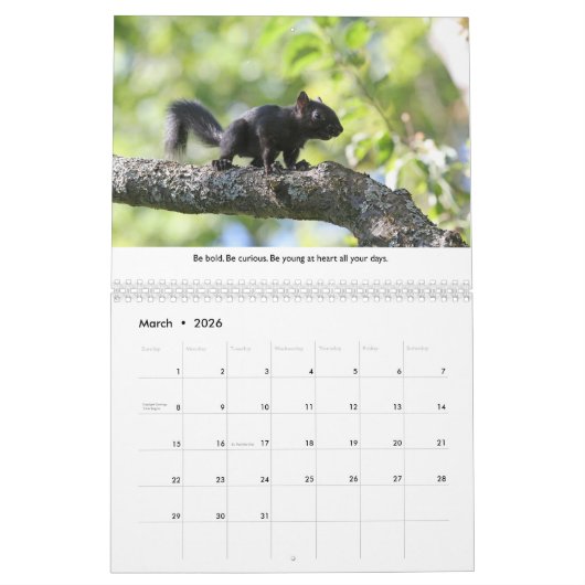 Funny Squirrels Wall Agenda Kalender (Mar 2026)
