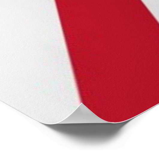 Funny St. Patrick Flag British Irish Shamrock Poster (Hoek)