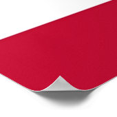 Funny St. Patrick Flag USA Ireland Shamrock Clover Poster (Hoek)