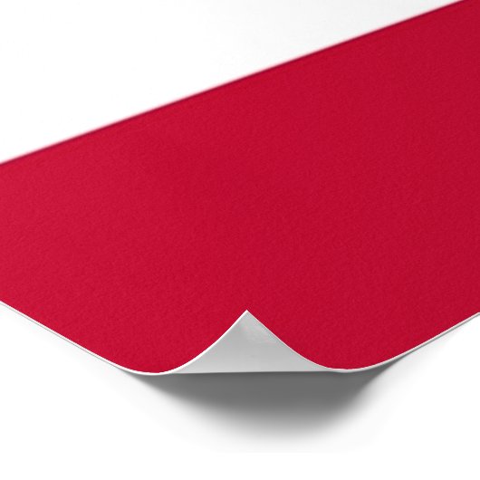 Funny St. Patrick Flag USA Ireland Shamrock Clover Poster (Hoek)