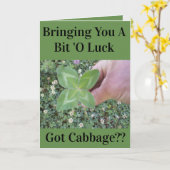 FUNNY ST PATRICK'S DAY CARD KAART (Gele Bloem)