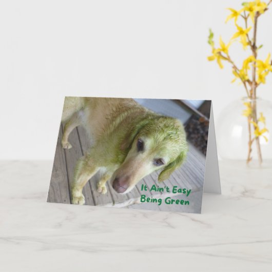 Funny St. Patricks Green Golden Retriever Card Kaart (Gele Bloem)
