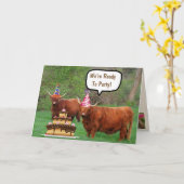 Funny Steer en Cake Birthday Kaart (Gele Bloem)