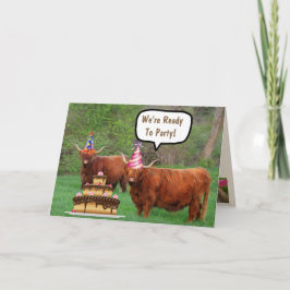 Funny Steer en Cake Birthday Kaart