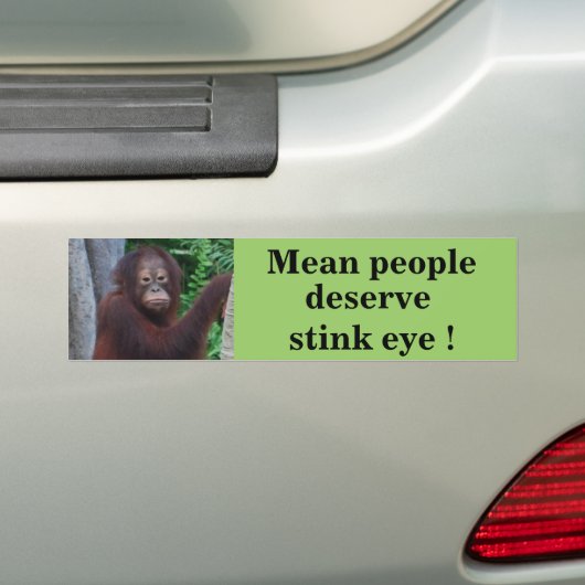 Funny Stink Eye Bumpersticker (Op auto)