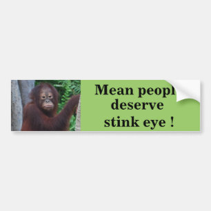 Funny Stink Eye Bumpersticker