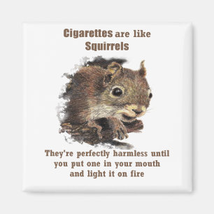 Funny stopt met roken Motivatie Quote Squirrel Magneet