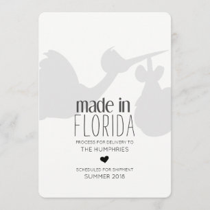 Funny Stork Delivery Zwangerschap Aankondiging