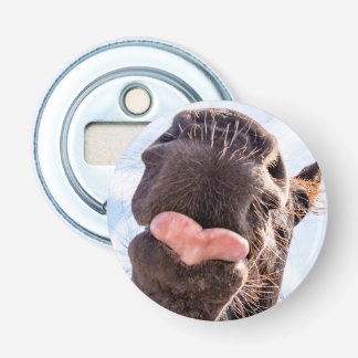 Funny Straight from the Horse's Mouth Foto Button Flesopener