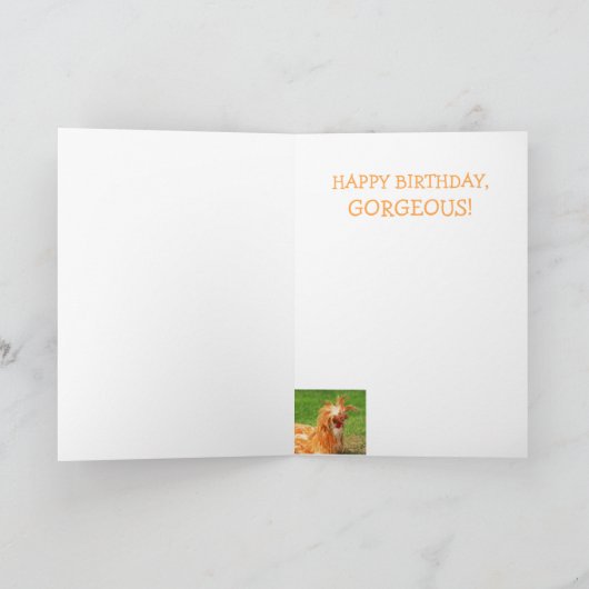 Funny Stylish Chicken Birthday Kaart (Binnen)