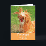 Funny Stylish Chicken Birthday Kaart<br><div class="desc">Viel een leuke verjaardag met deze stijlvolle kip! Bedankt om te kijken en te hopen dat je geniet. Foto ©Christine Greenspan</div>