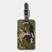 Funny Stylish Dpression Chihuahua Puppy Bagagelabel (Voorkant verticaal)