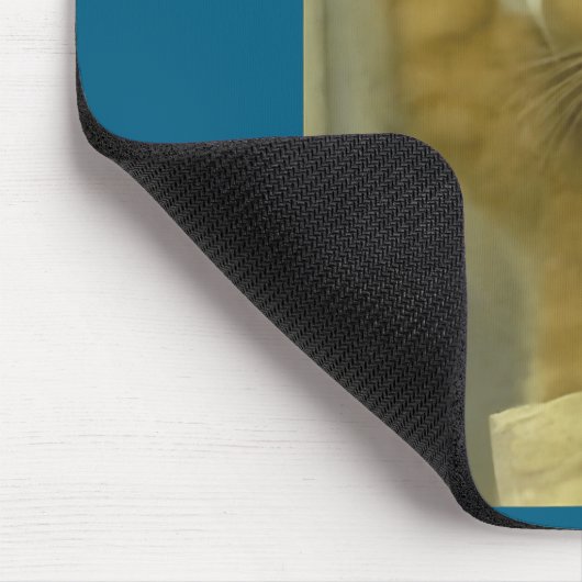 Funny Subway Cat Meme Stud Brainrot Cats Humor Kit Muismat (Hoek)