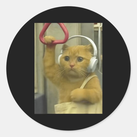 Funny Subway Cat Meme Stud Brainrot Cats Humor Kit Ronde Sticker (Voorkant)