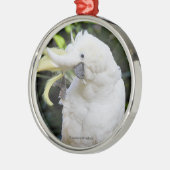 Funny Sulfur-Crested Cockatau Parrot Bird Waves Metalen Ornament (Links)