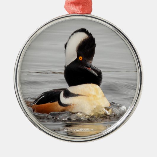 Funny Surprisded Hooded Merganser Waterfowl Duck Metalen Ornament (Voorkant)