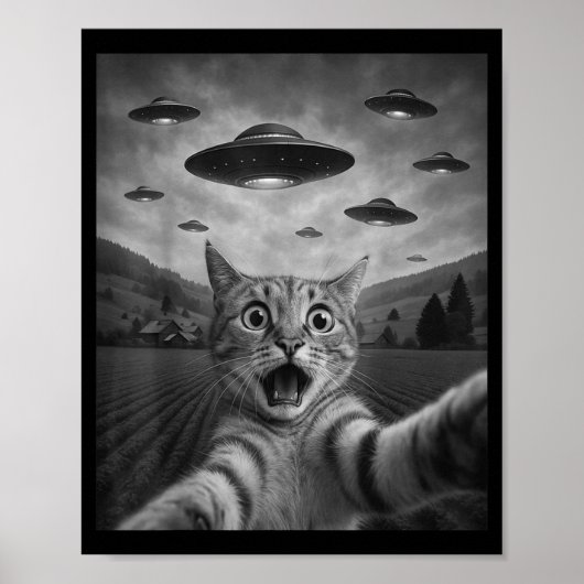 Funny Surprised Ed Cat Selfie With Alien Ufo Cat U Poster (Voorkant)