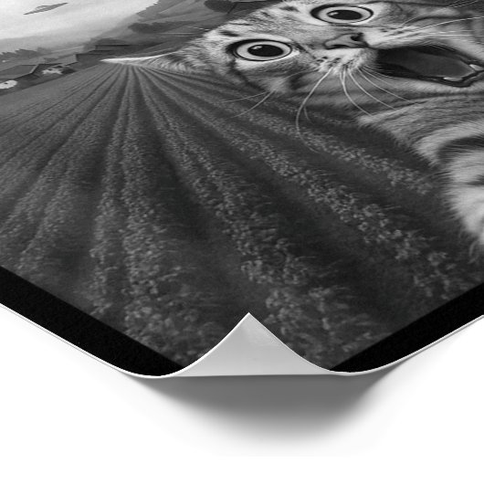 Funny Surprised Ed Cat Selfie With Alien Ufo Cat U Poster (Hoek)